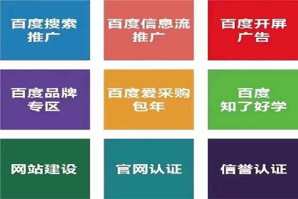 成功SEM托管代运营案例分析